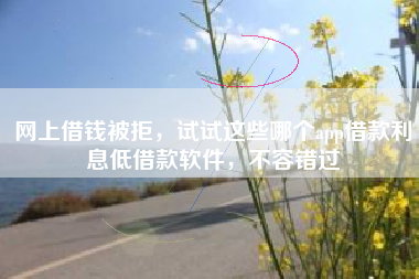 网上借钱被拒，试试这些哪个app借款利息低借款软件，不容错过