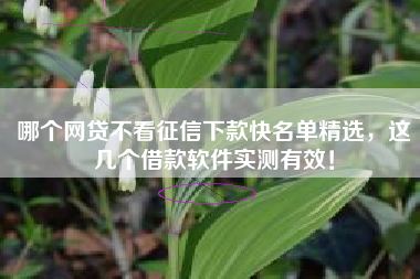哪个网贷不看征信下款快名单精选，这几个借款软件实测有效！