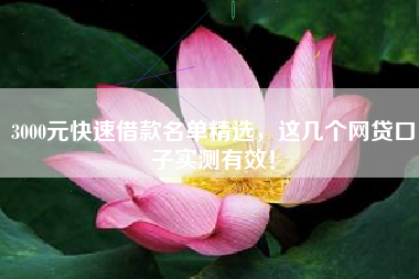 3000元快速借款名单精选，这几个网贷口子实测有效！