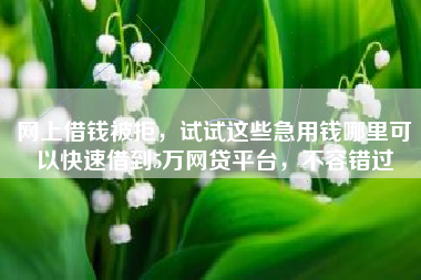 网上借钱被拒，试试这些急用钱哪里可以快速借到5万网贷平台，不容错过