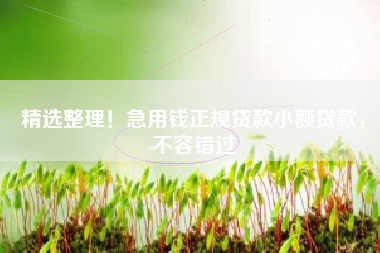 精选整理！急用钱正规贷款小额贷款，不容错过