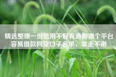 精选整理一份信用不好有逾期哪个平台容易借款网贷口子名单，拿走不谢