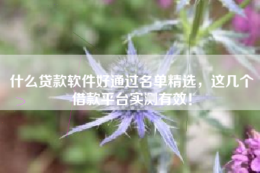 什么贷款软件好通过名单精选，这几个借款平台实测有效！