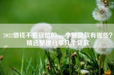 2022借钱不看征信的app小额贷款有哪些？精选整理分享几个贷款