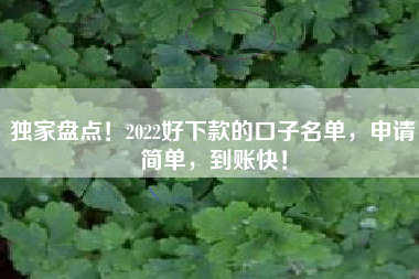 独家盘点！2022好下款的口子名单，申请简单，到账快！