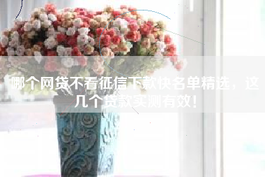 哪个网贷不看征信下款快名单精选，这几个贷款实测有效！