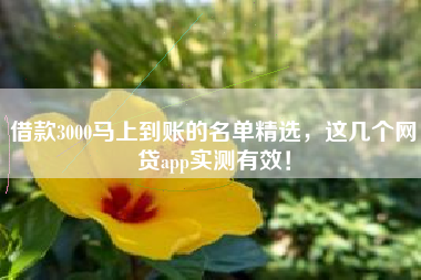 借款3000马上到账的名单精选，这几个网贷app实测有效！