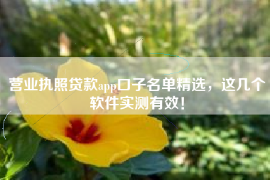 营业执照贷款app口子名单精选，这几个软件实测有效！