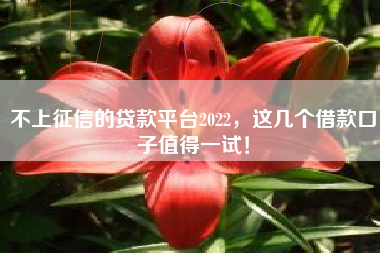 不上征信的贷款平台2022，这几个借款口子值得一试！