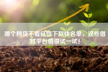 哪个网贷不看征信下款快名单，这些借款平台值得试一试！