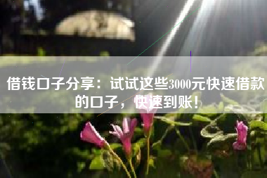 借钱口子分享：试试这些3000元快速借款的口子，快速到账！