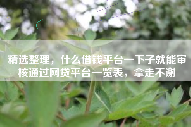 精选整理，什么借钱平台一下子就能审核通过网贷平台一览表，拿走不谢