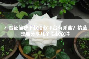 不看征信秒下款借款平台有哪些？精选整理分享几个借款软件
