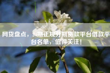 网贷盘点，24期正规分期贷款平台借款平台名单，值得关注！