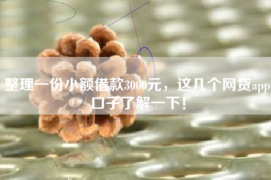整理一份小额借款3000元，这几个网贷app口子了解一下！