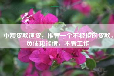 小额贷款速贷，推荐一个不被拒的贷款，负债也能借，不看工作