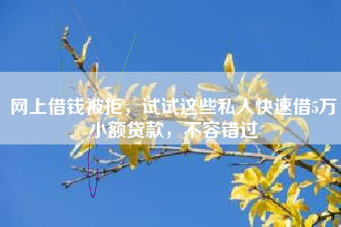 网上借钱被拒，试试这些私人快速借5万小额贷款，不容错过