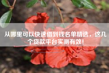 从哪里可以快速借到钱名单精选，这几个贷款平台实测有效！