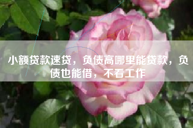 小额贷款速贷，负债高哪里能贷款，负债也能借，不看工作