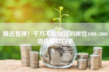 精选整理！千万不能错过的微信1000-5000借钱借款口子