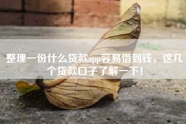 整理一份什么贷款app容易借到钱，这几个贷款口子了解一下！