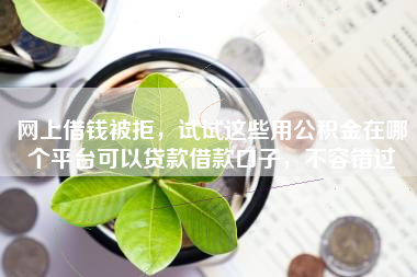 网上借钱被拒，试试这些用公积金在哪个平台可以贷款借款口子，不容错过