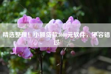 精选整理！小额贷款3000元软件，不容错过