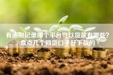 有逾期记录哪个平台可以贷款有哪些？盘点几个网贷口子好下款的