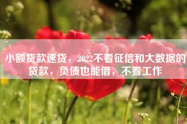 小额贷款速贷，2022不看征信和大数据的贷款，负债也能借，不看工作