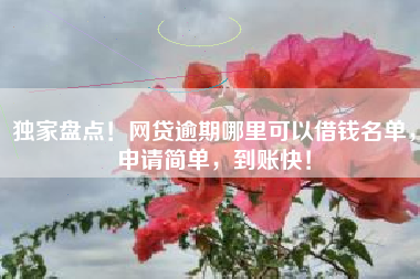 独家盘点！网贷逾期哪里可以借钱名单，申请简单，到账快！