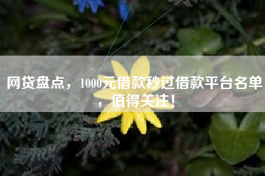 网贷盘点，1000元借款秒过借款平台名单，值得关注！