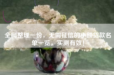 全网整理一份，无需征信的小额贷款名单一览，实测有效！