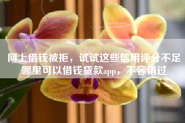 网上借钱被拒，试试这些信用评分不足哪里可以借钱贷款app，不容错过