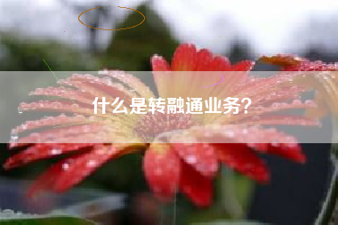 什么是转融通业务？