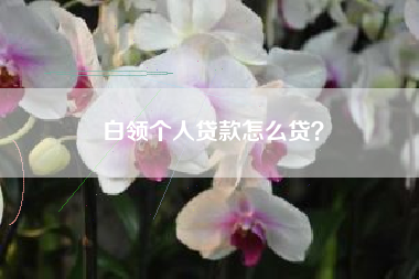 白领个人贷款怎么贷？