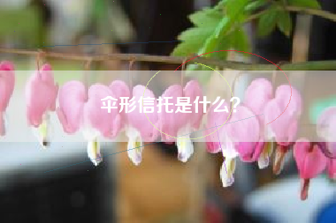 伞形信托是什么？