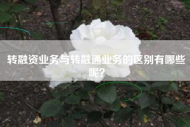 转融资业务与转融通业务的区别有哪些呢？