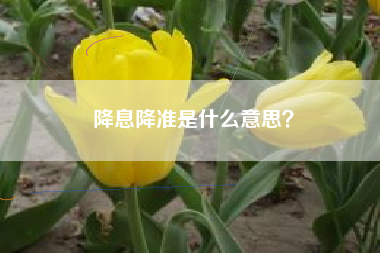 降息降准是什么意思？