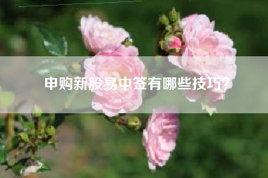 申购新股易中签有哪些技巧？