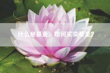 什么是基金，如何买卖基金？