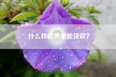 什么样的保单能贷款？