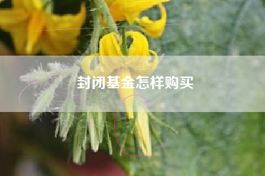 封闭基金怎样购买
