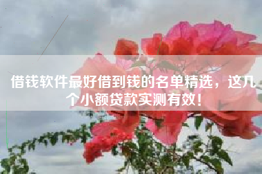 借钱软件最好借到钱的名单精选，这几个小额贷款实测有效！