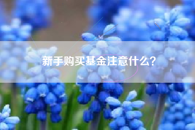 新手购买基金注意什么？