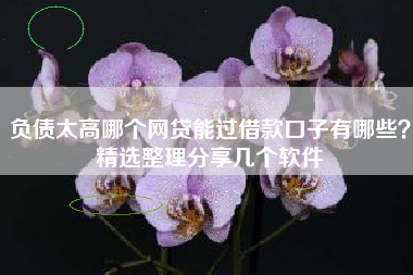 负债太高哪个网贷能过借款口子有哪些？精选整理分享几个软件