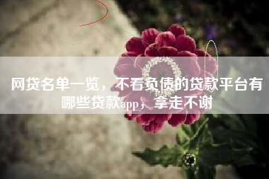 网贷名单一览，不看负债的贷款平台有哪些贷款app，拿走不谢