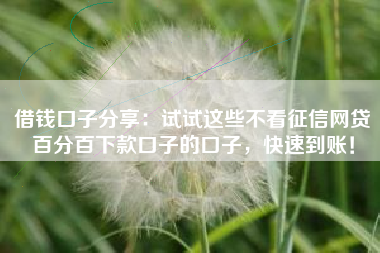 借钱口子分享：试试这些不看征信网贷百分百下款口子的口子，快速到账！