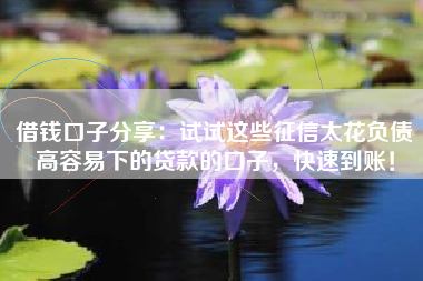 借钱口子分享：试试这些征信太花负债高容易下的贷款的口子，快速到账！