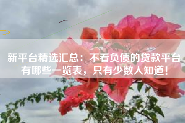 新平台精选汇总：不看负债的贷款平台有哪些一览表，只有少数人知道！