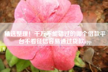 精选整理！千万不能错过的哪个借款平台不看征信容易通过贷款app